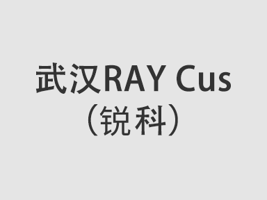 武漢RAY Cus（瑞科）